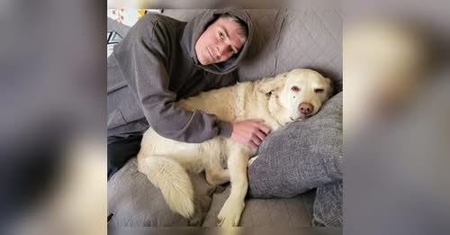 Michael Tighe Pittsburgh PA Obituary, Michael Tighe Has Died